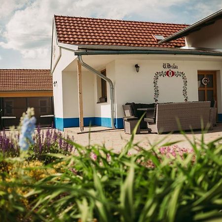 Apartman U Draba: Ubytovani Na Slovacku V Miloticich U Kyjova Milotice ภายนอก รูปภาพ