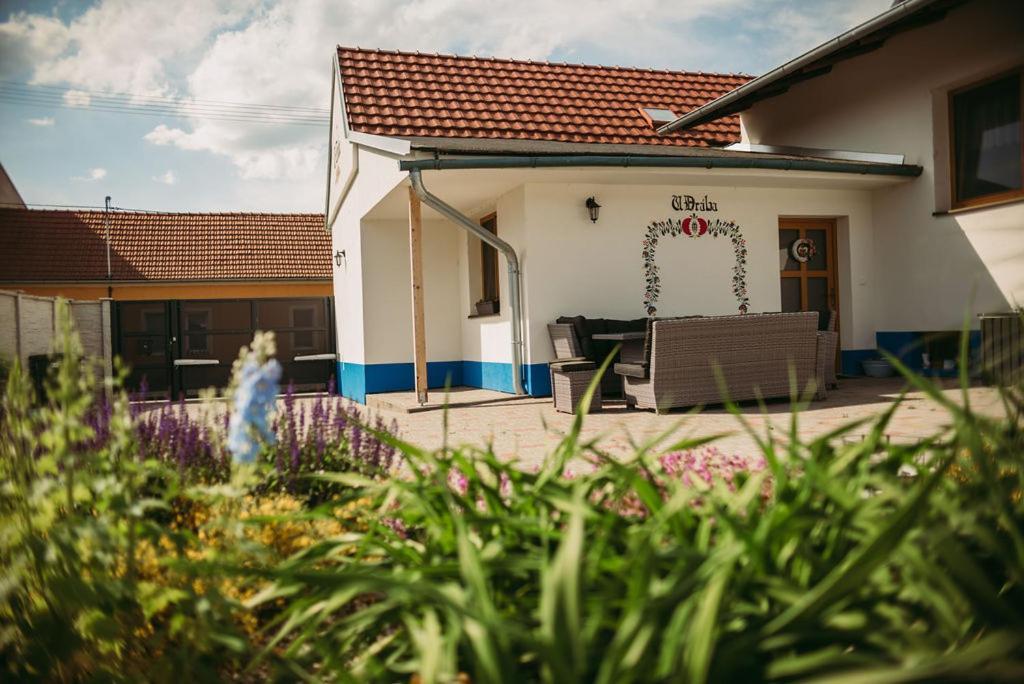 Apartman U Draba: Ubytovani Na Slovacku V Miloticich U Kyjova Milotice ภายนอก รูปภาพ