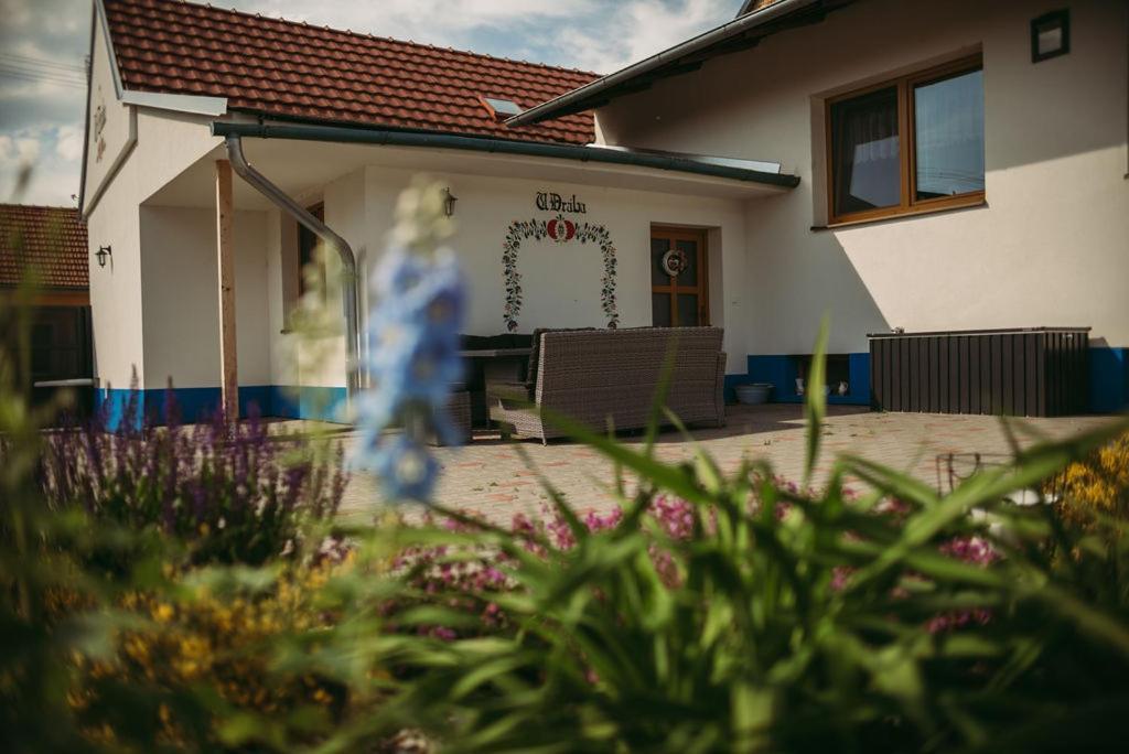 Apartman U Draba: Ubytovani Na Slovacku V Miloticich U Kyjova Milotice ภายนอก รูปภาพ