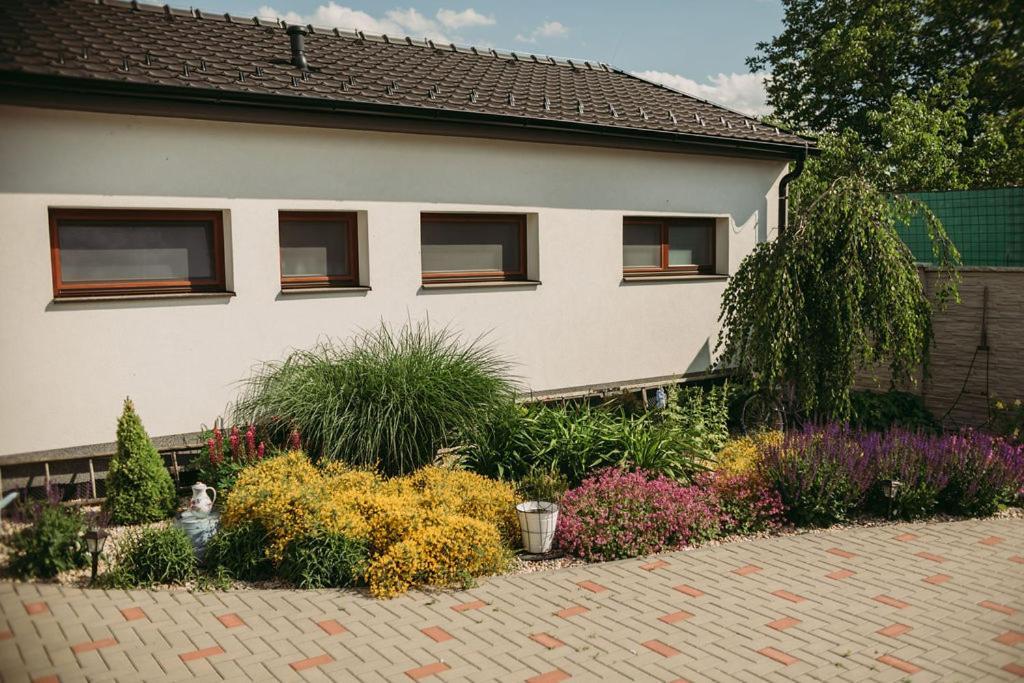 Apartman U Draba: Ubytovani Na Slovacku V Miloticich U Kyjova Milotice ภายนอก รูปภาพ